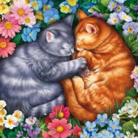 Sommeil aux pattes de velours