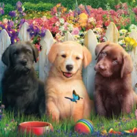 Adorable scène de chiots