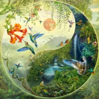 Yin & Yang Dans la forêt des colibris