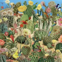 Cactus Garden