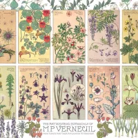 Botanicals by Verneuil