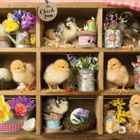 L'Auberge des Poussins