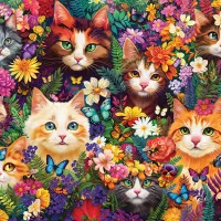 Moustaches Fleuries