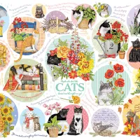 Pensées de Chat