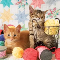 Boules de Poils