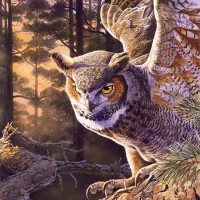 Chasseur le Soir