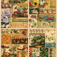 The Four Seasons