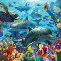Coral Sea
