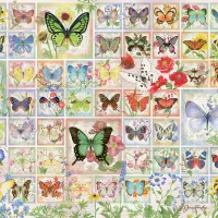 Papillons et Fleurs