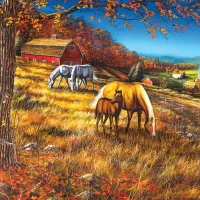 Rassemblement à Hillside