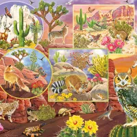 Desert Magic