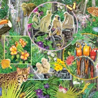 Magie de la Forêt Tropicale
