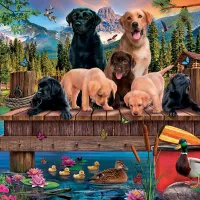 Chiens et Canards (Famille)