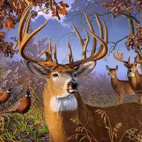 Pièces XXL - Deer and Pheasant