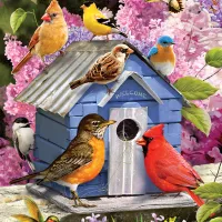 Pièces XXL - Maison d'Oiseau de Printemps