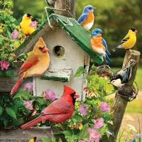 Pièces XXL - Maison d'Oiseaux d'Été