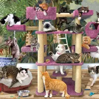 Chats de la Jungle