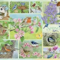 Oiseaux de Jardin au Printemps