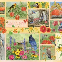 Oiseaux de Jardin en Automne