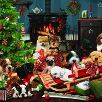 Pièces XXL - Chiots de Noël