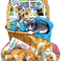 Lori Schory - Free Kitties