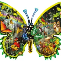 Lori Schory - Butterfly Migration