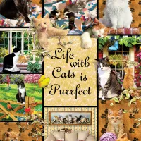Une Vie Parfaite grâce aux Chats