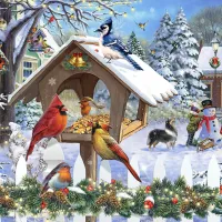 Oiseaux de Noël