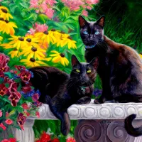 Beautés Noires
