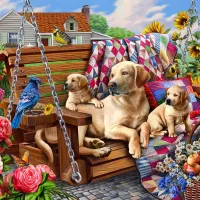 Chiens et Courtepointes