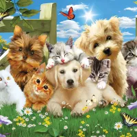 Pièces XXL - Pups n Kittens
