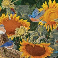Pièces XXL - Parterre de Tournesols