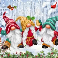 Trois Gnomes d'Hiver