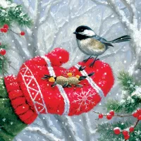 Rencontre Hivernale