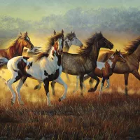 Cynthia Fisher - Running with the Wind