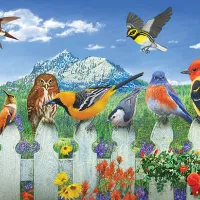 Pièces XXL - Oiseaux de l'Ouest
