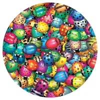 Pièces XXL - Beetlemania