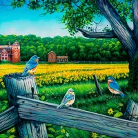 Le Blues De La Vallée Du Tournesol
