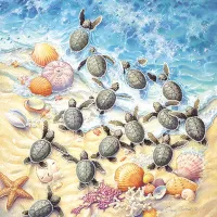 Sherry Vintson - Green Turtle Hatchlings