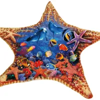 Steve Sundram - Starfish