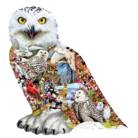 Snowy Owl