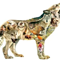 Greg Giordano - Native American Wolf