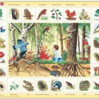 Puzzle Cadre - La Forêt (en Hollandais)