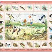 Puzzle Cadre - Animaux du Lac (en Italien)