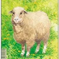 Puzzle Cadre - Mouton