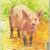 Puzzle Cadre - Cochon