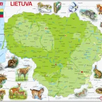 Puzzle Cadre - Carte de la Lituanie (en Lituanien)