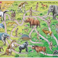 Puzzle Cadre - The Road From Ape to Human (en Anglais)