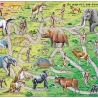 Puzzle Cadre - De Weg van Aab naar Mens (en Hollandais)