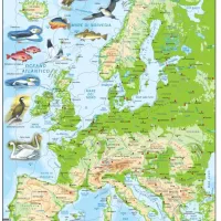 Puzzle Cadre - Carte Topographique de l'Europe (Italien)